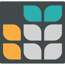 Extension Icon